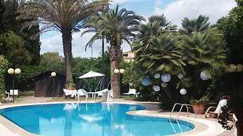 All'ombra del palmeto