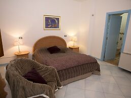 All'ombra del palmeto