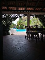 All'ombra del palmeto