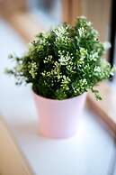 Mica Point City Centre Apartment