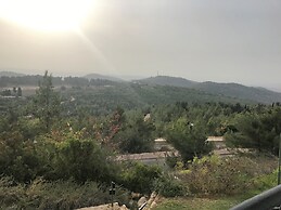 Dreams on the mount