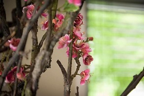 B&B The Butcher's Wife