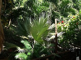 Reef View Pavilion Villas and Condos