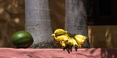 Reef View Pavilion Villas and Condos