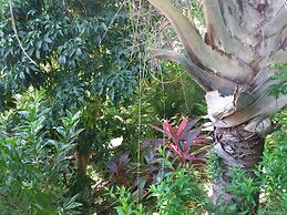 Reef View Pavilion Villas and Condos