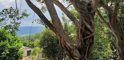 Tranquil Park Maleny