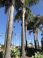 Thirroul Beach Motel