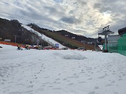 Forest of Color Pension