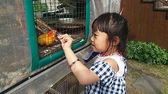 Forest of Color Pension