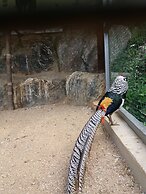 Forest of Color Pension