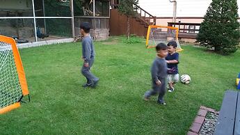 Forest of Color Pension