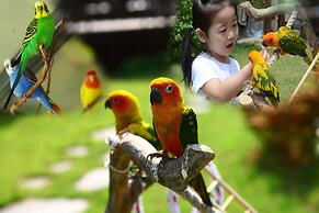 Forest of Color Pension