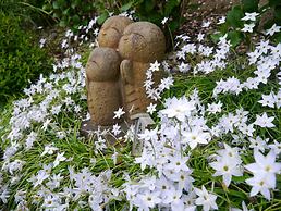 Guest House Kamejikan - Hostel