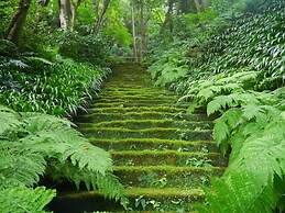 Guest House Kamejikan - Hostel