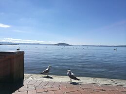 Great view near Rotorua lake