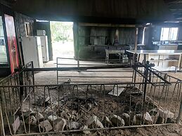 The Woolshed at Jondaryan - Campsite