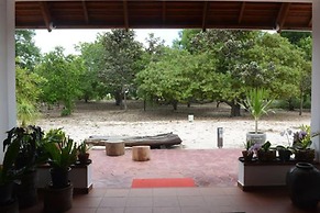Dracaena Resort