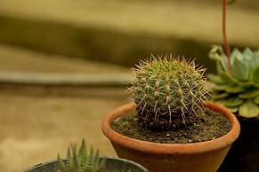 Zone Connect by the Park Manali