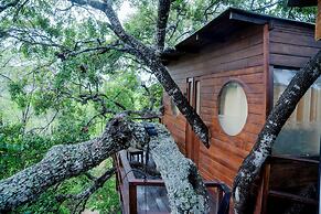 Leopard Nest - Glamping in Yala