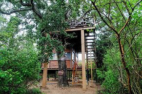 Leopard Nest - Glamping in Yala
