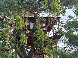 Leopard Nest - Glamping in Yala