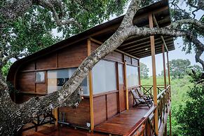 Leopard Nest - Glamping in Yala