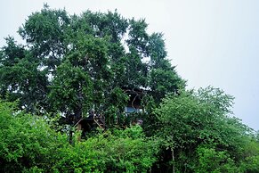 Leopard Nest - Glamping in Yala