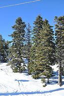 Ladonia Hotels Fahri Uludağ