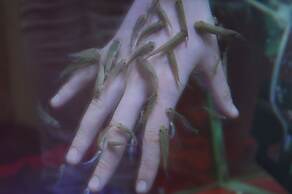 Ladonia Hotels Fahri Uludağ