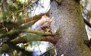 Hotel am Katharinenholz Potsdam