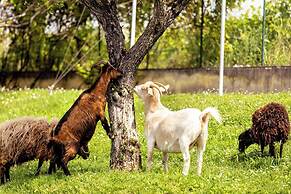 Bertoletta Village Apartments