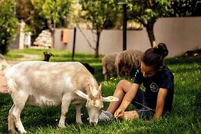 Bertoletta Village Apartments