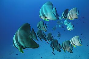 Sirru Fen Fushi Private Lagoon Resort