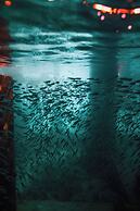 Sirru Fen Fushi Private Lagoon Resort