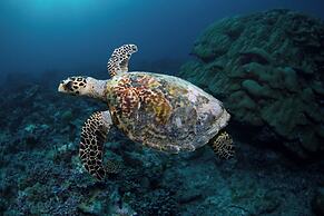 Sirru Fen Fushi Private Lagoon Resort