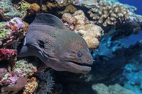 Sirru Fen Fushi Private Lagoon Resort