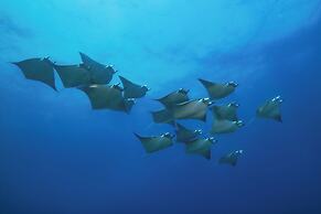 Sirru Fen Fushi Private Lagoon Resort