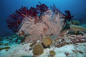 Sirru Fen Fushi Private Lagoon Resort