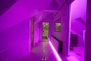 Vila Barović and Spa