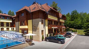 Vila Barović and Spa