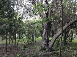 Cabanas Duendes del Maiten