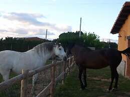 Los Reales