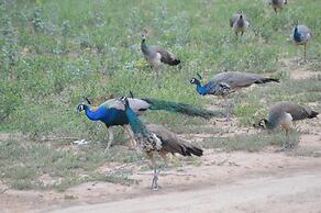 Lohana Village Resort