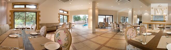 The Ivy Anjuna