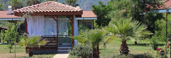 Nerissa Hotel - Special Class