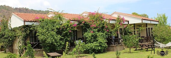 Nerissa Hotel - Special Class