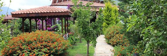 Nerissa Hotel - Special Class