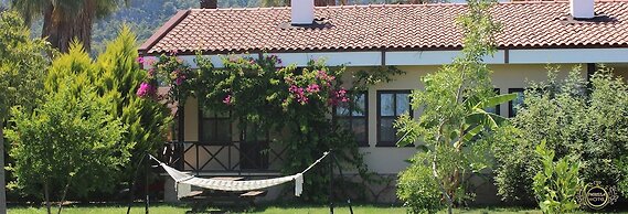 Nerissa Hotel - Special Class