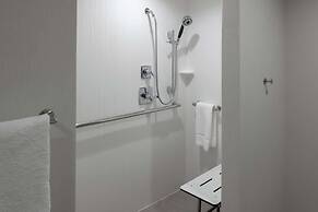 Hilton Garden Inn Dallas at Hurst Conference Center