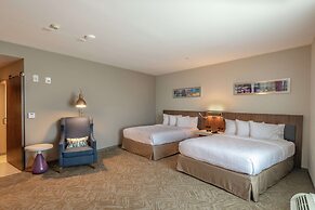 Hilton Garden Inn Dallas at Hurst Conference Center